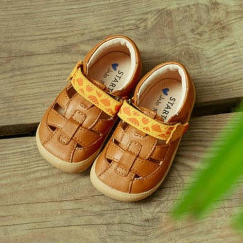 Jojo maman bebe canvas on sale shoes